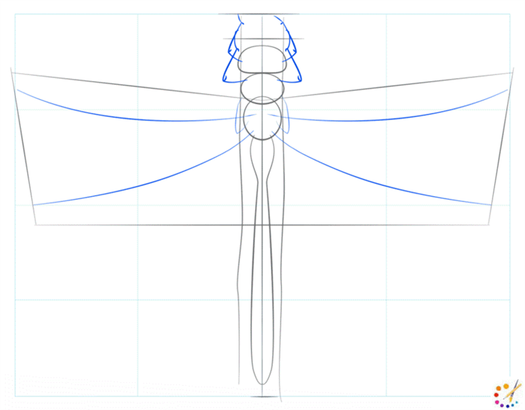 How to draw dragonfly