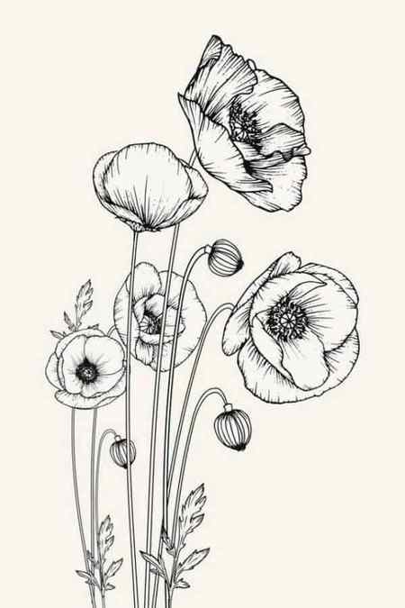 Easy Flower Drawings For Beginners