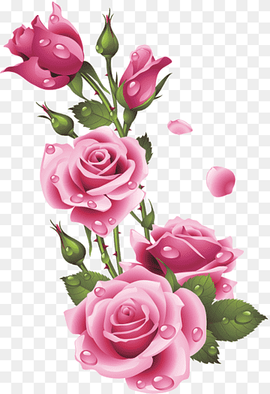 Garden roses Floral design Pink Centifolia roses Flower, flower, flower Arranging, floribunda, artificial Flower png thumbnail