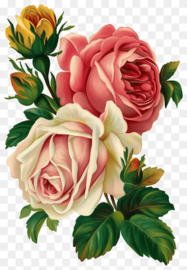 pink and white roses illustration, Rose Flower Vintage clothing Pink, painted flowers, flower Arranging, floribunda, artificial Flower png thumbnail