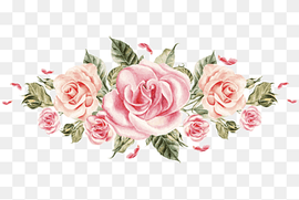 Flower Rose Pink Hash Florist, Colored roses, pink rose illustration, watercolor Painting, flower Arranging, color Splash png thumbnail