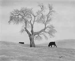 Easy Drawing Landscape Easy Pencil Drawings Landscape. Easy Pencil, Pencil Art Landscape HD wallpaper