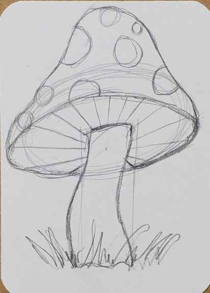 Mushroom-Drawing