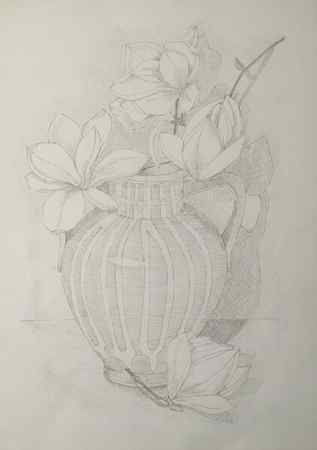 still life drawing and shading 7