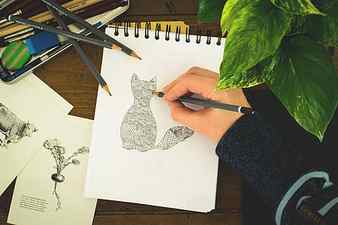 person draws a cat