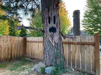 Haunted Tree Decoration - attach to a tree