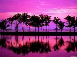 Purple Beach Sunset HD wallpaper