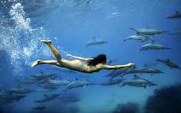 Water swimming nude dolphins, Dolphins Underwater HD wallpaper