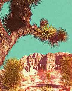 Wall Art - Drawing - Joshua Tree and Rock Formation Landscape by CSA Images