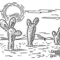 Cactus Dry Desert Landscape Sun Drawing by Frank Ramspott