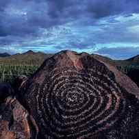 Hohokam Petroglyph In The Saguaro by Peter Essick