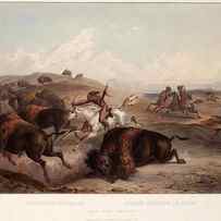 Indians on horseback hunting the Buffalo by Karl Bodmer