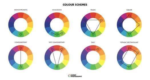 graphic illustrating different color schemes