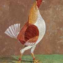 Fighting Cocks, a Pale-Breasted Fighting Cock by John Frederick Herring