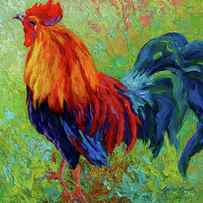 Band Of Gold Rooster by Marion Rose