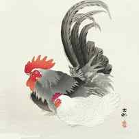 Chicken and cock by Ohara Koson