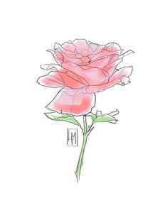 Buy Abstract Rose Sketch Online In India Etsy India