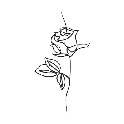 Rose Drawing PNG Transparent Images Free Download Vector Files Pngtree