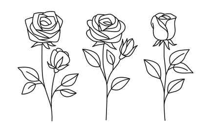 Rose Sketch Stock Illustrations 76429 Rose Sketch Stock Illustrations Vectors Clipart Dreamstime