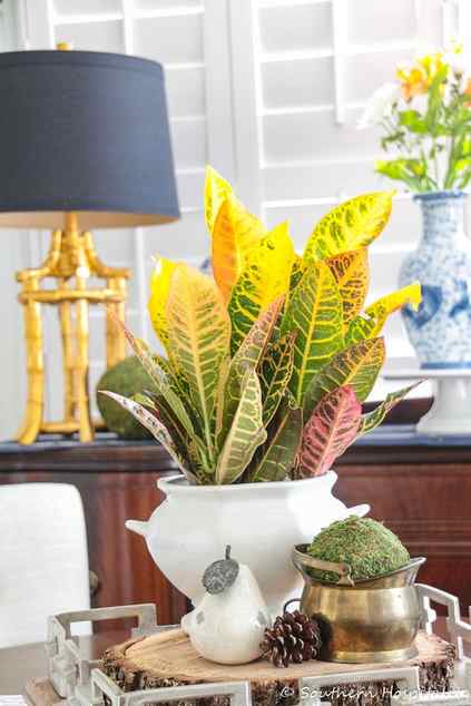 a lovely southern fall centerpiece of a wood slice, a soup bowl with leaves, a pinecone, a moss ball and a pear