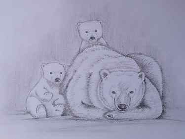 Polar bear study by me rsketchbooks