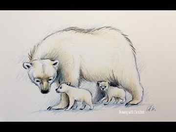 Polar Bear Colour Pencil Drawing On Stock Illustration 1455138947 Shutterstock