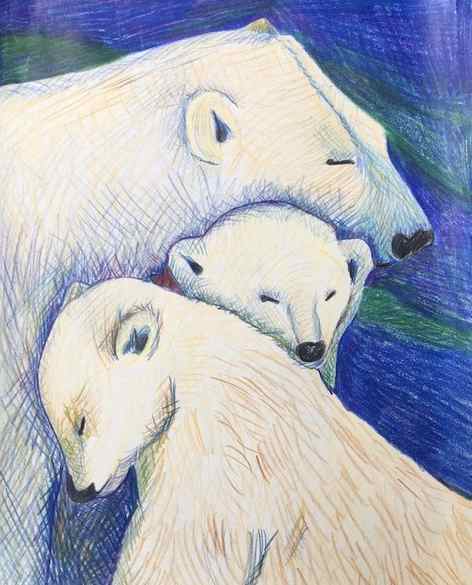 Portrait of a Polar Bear Polar Bear Fine Art Drawing Flickr