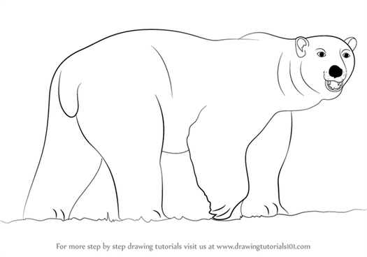 Free Tutorials POLAR BEAR Animal Art by LAW