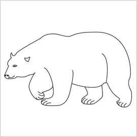 color pencil polar bear its it good I feel like its really simple r drawing