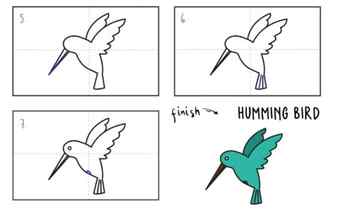 Step-by-Step Hummingbird Drawing