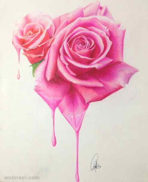 flower drawings rose