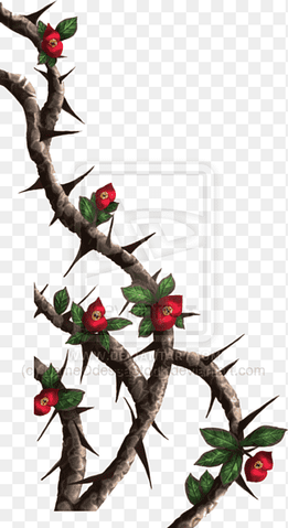 Thorns, spines, and prickles Rose Vine Drawing, crown of thorns, leaf, branch png thumbnail