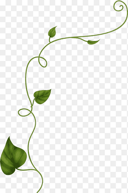 Leaf Vine Drawing Flower Plant, Leaf, leaf, branch png thumbnail