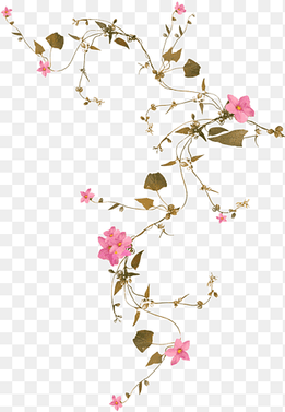 Flower vine, pink flower vine, flower Arranging, leaf png thumbnail