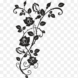 Thorns, spines, and prickles Rose Drawing, rose, leaf, branch png thumbnail