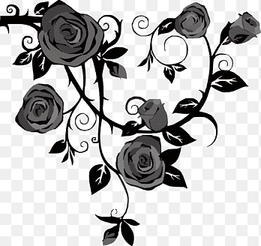 Rose Vine Drawing Thorns, spines, and prickles, black rose, leaf, branch png thumbnail