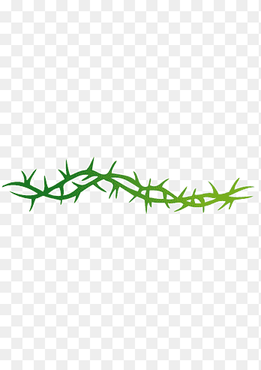 green and yellow vine illustration, Thorns, spines, and prickles Vine Rose Crown of thorns, Thorn s, angle, leaf png thumbnail