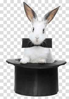 The Magic Rabbit Hat-trick , rabbit transparent background PNG clipart thumbnail