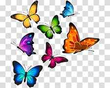 assorted-color butterflies , Butterfly T-shirt , watercolor butterfly transparent background PNG clipart thumbnail