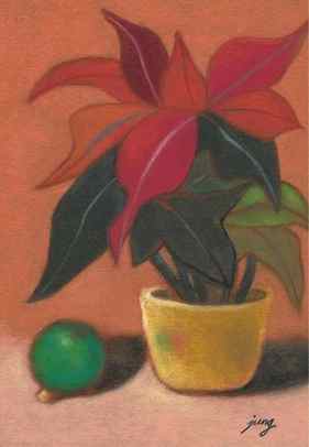 Christmas Poinsettia thumb